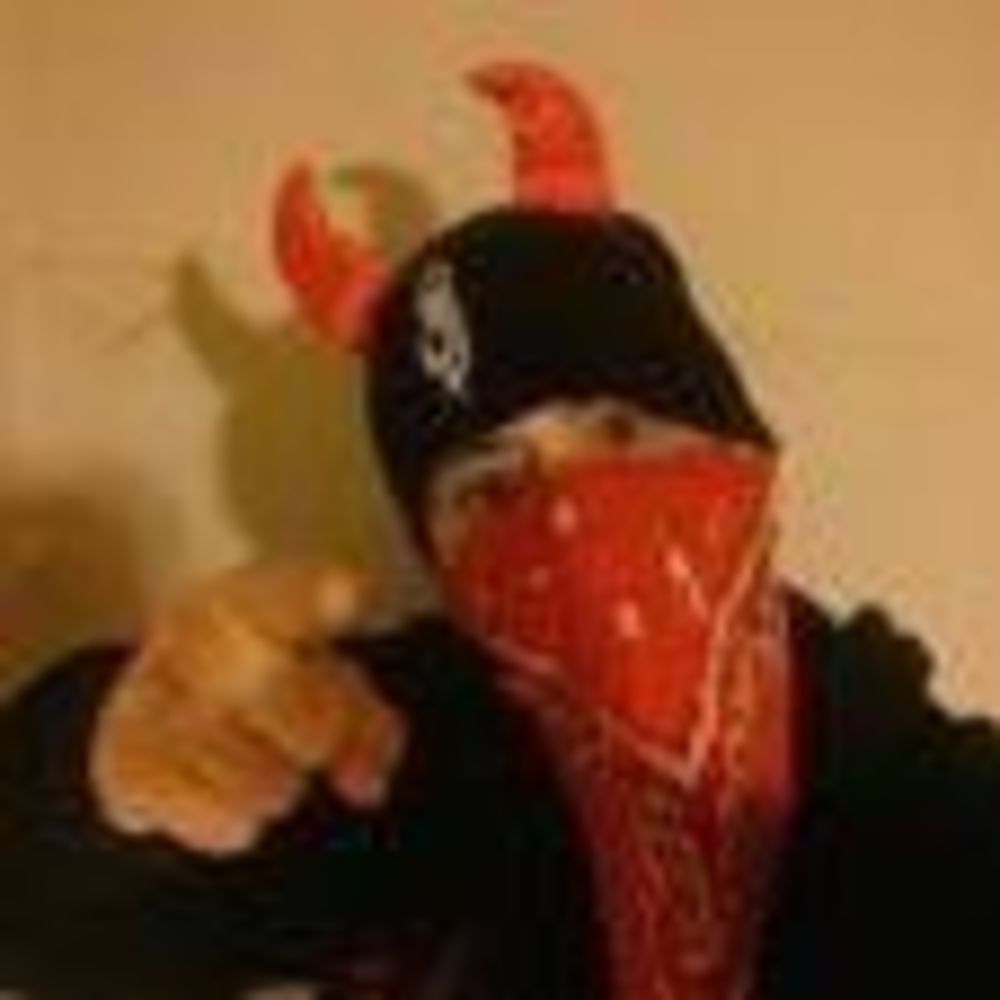 Meet your Posher, Tony